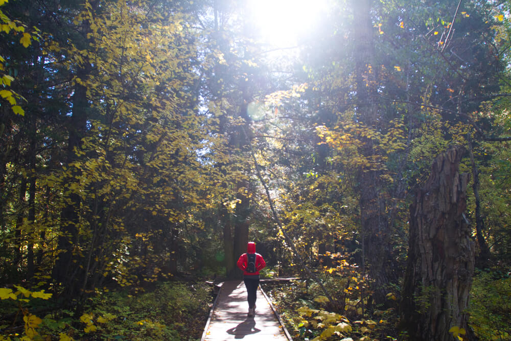 Running-in-the-wods-camelbak-image