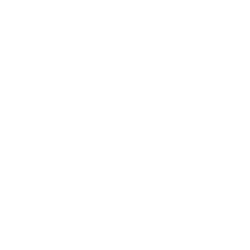 R&D Director