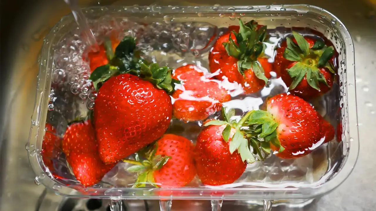 Future of Plastic Packaging