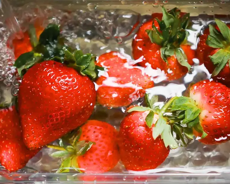Future of Plastic Packaging