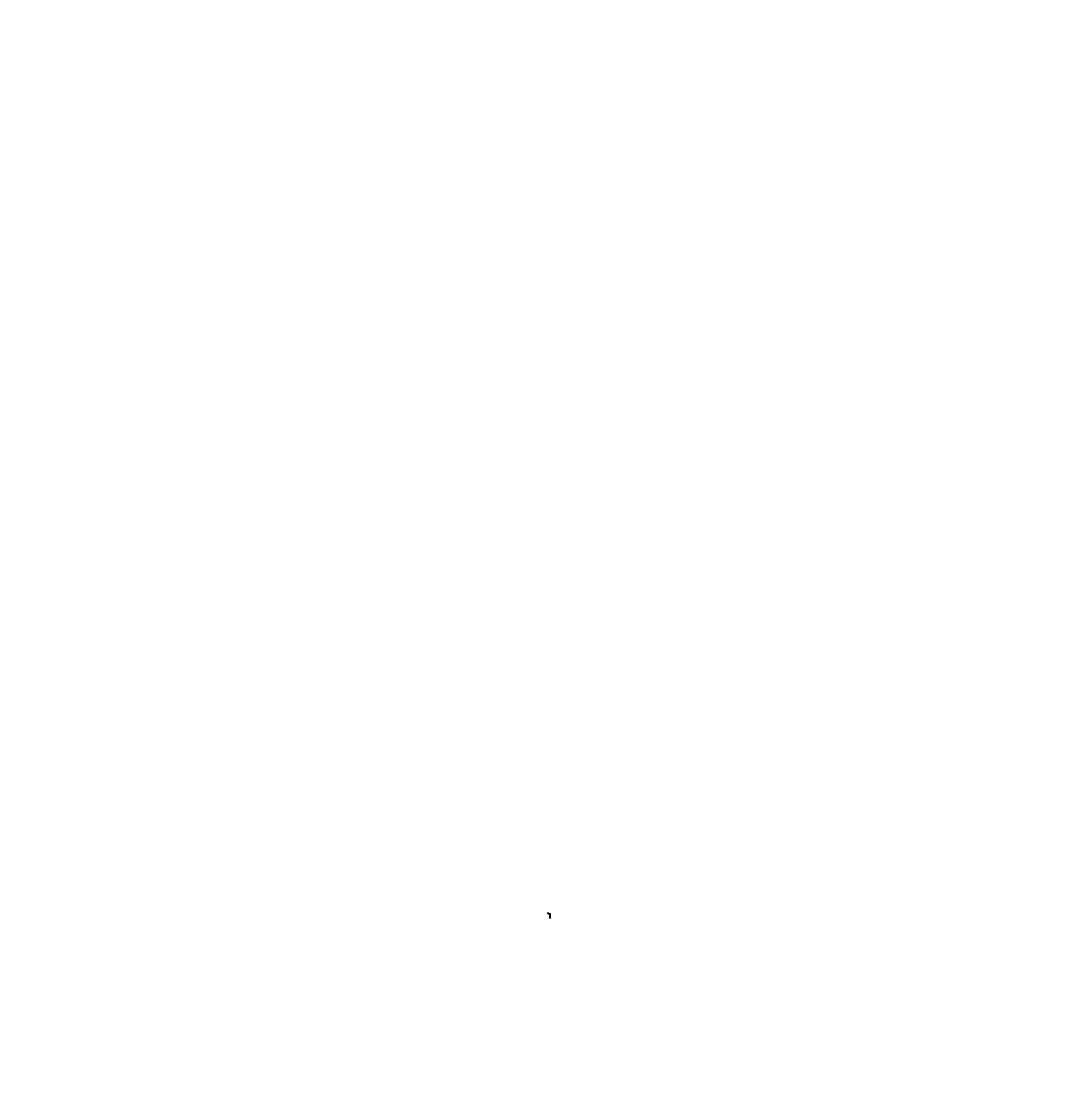 Vetoquinol
