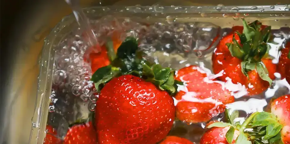 The Future of Plastic Packaging
